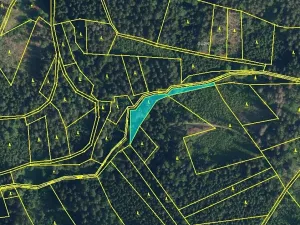 Prodej podílu lesa, Vysoké nad Jizerou, 742 m2