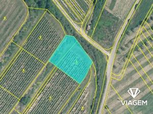 Prodej sadu/vinice, Šardice, 1856 m2