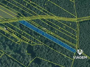 Prodej podílu lesa, Drahov, 2032 m2