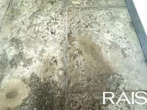 Prodej bytu 2+kk, Brno, Křenová, 53 m2