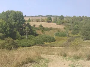 Dražba louky, Úterý, 34244 m2