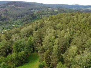 Dražba louky, Rejštejn, 1798 m2