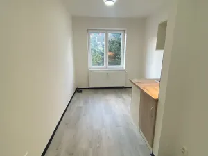 Pronájem bytu 1+kk, Praha - Hlubočepy, Na Zlíchově, 14 m2