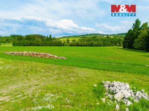 Prodej pole, Bory - Horní Bory, 4299 m2