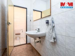 Prodej rodinného domu, Oskořínek, Družstevní, 850 m2