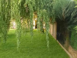 Prodej bytu 1+1, Pňovice, 38 m2