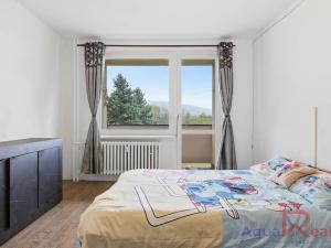 Prodej bytu 2+1, Sokolov, Jelínkova, 60 m2