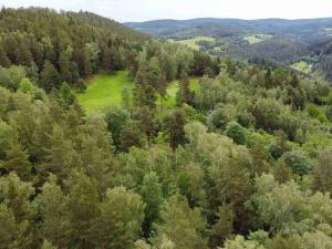 Prodej pozemku, Rejštejn, 1798 m2