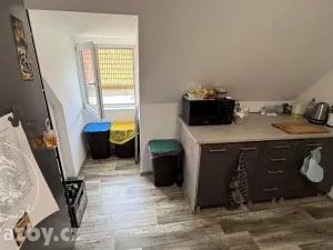 Dražba činžovního domu, Povrly, Převozní, 365 m2