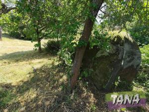 Prodej pozemku pro bydlení, Koberovy, 9985 m2