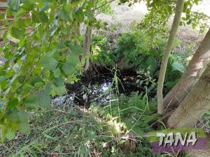 Prodej pozemku pro bydlení, Koberovy, 9985 m2