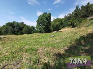 Prodej pozemku pro bydlení, Koberovy, 9985 m2