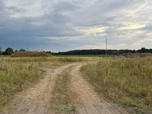 Dražba pozemku, Živanice, 2620 m2