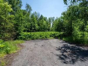 Prodej pozemku pro bydlení, Choustník, 114846 m2