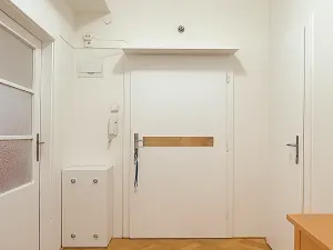 Pronájem bytu 1+1, Brno, Havlišova, 50 m2