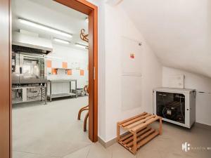 Pronájem výrobních prostor, Zlonín, Hlavní, 50 m2