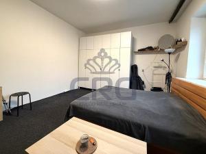 Pronájem bytu 1+1, Brno - Staré Brno, Nové sady, 48 m2