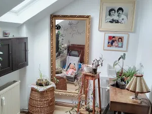 Prodej vícegeneračního domu, Otovice, 200 m2