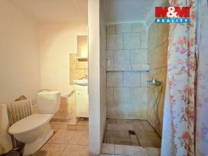 Prodej chalupy, Nový Bydžov - Vysočany, 43 m2