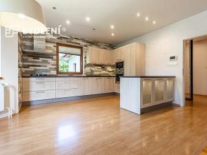 Prodej rodinného domu, Vědomice, Nová, 260 m2