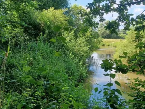 Dražba pozemku, Česká Lípa, 5369 m2