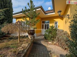 Prodej rodinného domu, Mladá Boleslav, Viničná, 350 m2