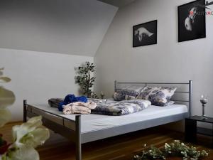 Prodej vícegeneračního domu, Rozdrojovice, Za Humny, 850 m2