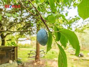 Prodej zahrady, Praha, 489 m2