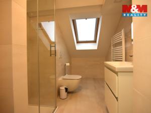 Pronájem bytu 5+kk, Milovice, Letecká, 100 m2