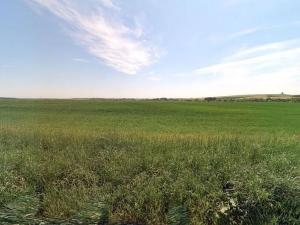 Prodej pole, Mečeříž, 105316 m2