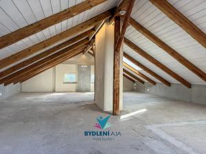 Prodej vily, Roprachtice, 373 m2