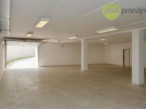Pronájem skladu, Vyškov, Palánek, 460 m2