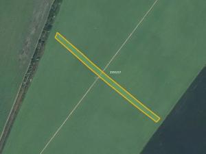 Prodej pole, Moravská Nová Ves, 10527 m2