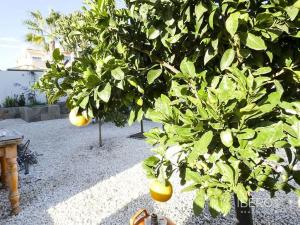 Prodej rodinného domu, Quesada, Španělsko, 139 m2