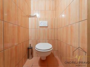 Prodej činžovního domu, Lety, Sokolská, 265 m2