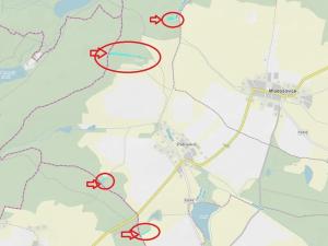 Prodej lesa, Mladošovice, 12064 m2