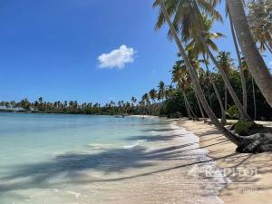 Prodej rodinného domu, Samaná, Dominikánská republika, Calle Jimi Hendrix, 102 m2