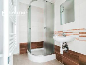 Pronájem bytu 1+1, Proboštov, Kpt. Jaroše, 41 m2