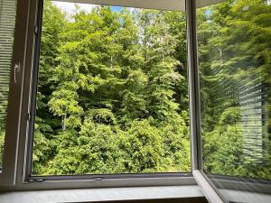 Prodej bytu 3+1, Paseka, 69 m2