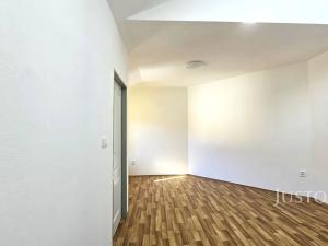 Prodej vícegeneračního domu, Písek, V Koutě, 786 m2