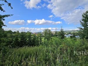 Prodej rodinného domu, Písek, Dolní, 243 m2