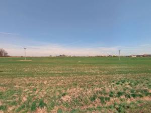 Prodej pole, Butoves, 2737 m2