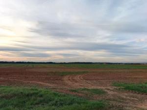 Prodej pole, Tupadly, 880 m2