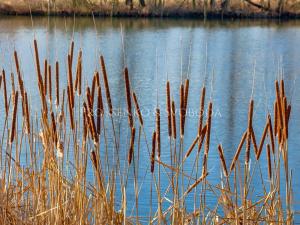 Prodej pozemku pro bydlení, Praha, 6104 m2