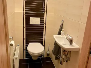 Pronájem rodinného domu, Vejprnice, Na Hruškách, 133 m2