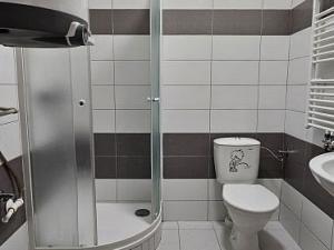 Pronájem bytu 1+kk, Tachov, 33 m2