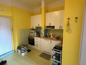 Prodej bytu 1+1, Praha - Braník, Na Mlejnku, 52 m2