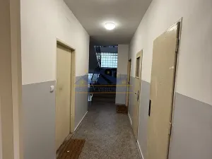Prodej bytu 1+1, Praha - Braník, Na Mlejnku, 52 m2