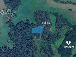 Prodej podílu lesa, Volyně, 1129 m2