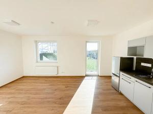 Pronájem ubytování, Slavkov u Brna, U Mlýna, 1320 m2